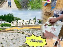 -源香农宝·亲子采摘·钓虾·科普研学