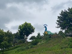 -东莞植物园
