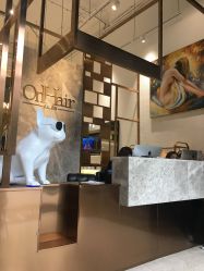 -OnHair Salon