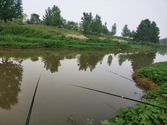 -洨河生态公园