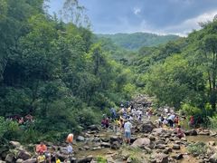 -广州白江湖森林公园