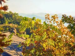 -云峰山自然风景区
