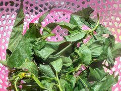 -官塘兄弟·潮汕牛肉店(官塘总店)