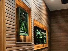 -前海沿·青岛菜(大拇指广场石老人店)