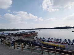 -上海海湾国家森林公园