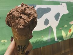 -野人先生现做冰淇淋(北京顺义祥云小镇店)