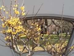 -无锡梅园公园