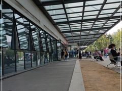 -首都医科大学附属北京天坛医院