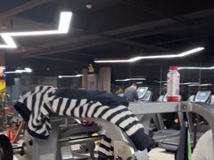 -ENERGY原力健身(川周店)