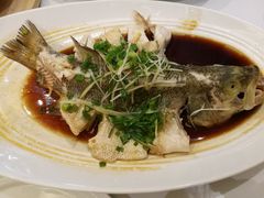 -眉州东坡(中日友好医院店)