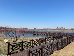 -上海海湾国家森林公园