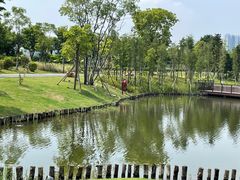 -王借岗森林公园
