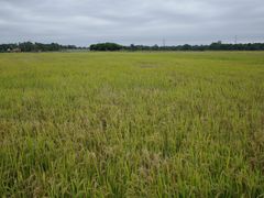 -中国天府农业博览园