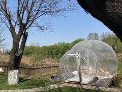 -Supine Bistro溯泮餐厅