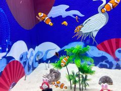 -烟台海昌鲸鲨海洋公园