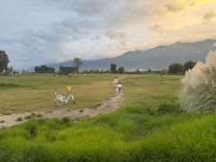 -才村湿地公园