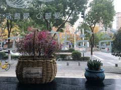 景观位-爸爸糖吐司面包(南京奥体店)