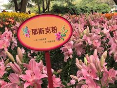 -无锡梅园公园