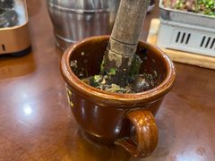 -树厨贵州菜(铜仁花果山店)