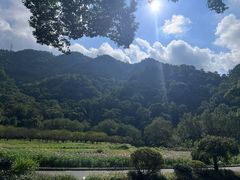 -雁荡山风景名胜区
