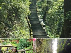 -峨眉山风景名胜区