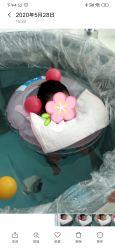 -馨月汇·独栋月子会所(静安店)