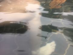 -中华郡温泉