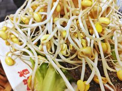 泥鳅-锅首鲜品火锅(鸳鸯店)