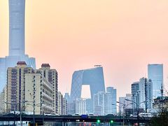 -远洋未来汇