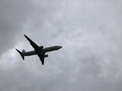 -空港花田景区