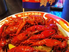 -阿财老铺·老蚌埠龙虾城(华夏总店)