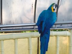 iphone_upload_pic-百鸟园