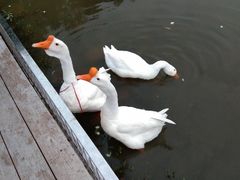 -金陵矩阵(聚宝山公园店)