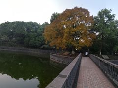 -西南政法大学(沙坪坝校区)