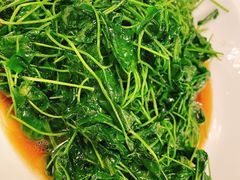金花菜酒香-新聚丰菜馆(太监弄店)