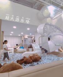 -好看加白色房子