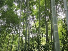 -杭州黄龙洞
