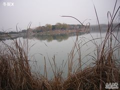 -昆山城市生态森林公园