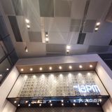 上海攻略|华丽丽的出游