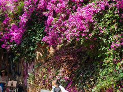 -云南师范大学(一二一西南联大校区)