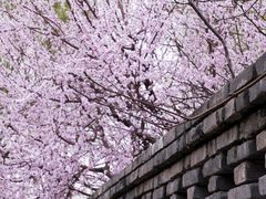-三里河公园