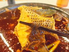 -费明中罗非鱼(大石坝店)