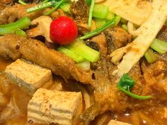 -老板恋上鱼(印象城店)