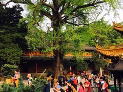 -普陀山风景名胜区-法雨禅寺