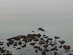 -蓬莱阁景区