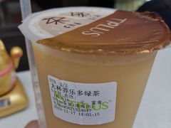 养乐多绿茶-TPLUS茶家(淮海店)
