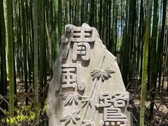 -陈家山荷花公园