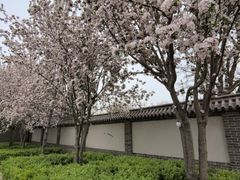 -河间府署