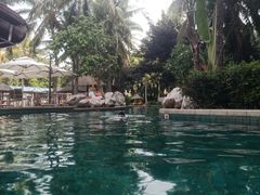 -三亚亚龙湾雅高美爵酒店