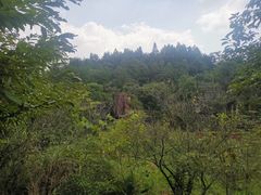 -梭布垭石林景区